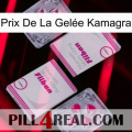 Prix De La Gelée Kamagra 33
